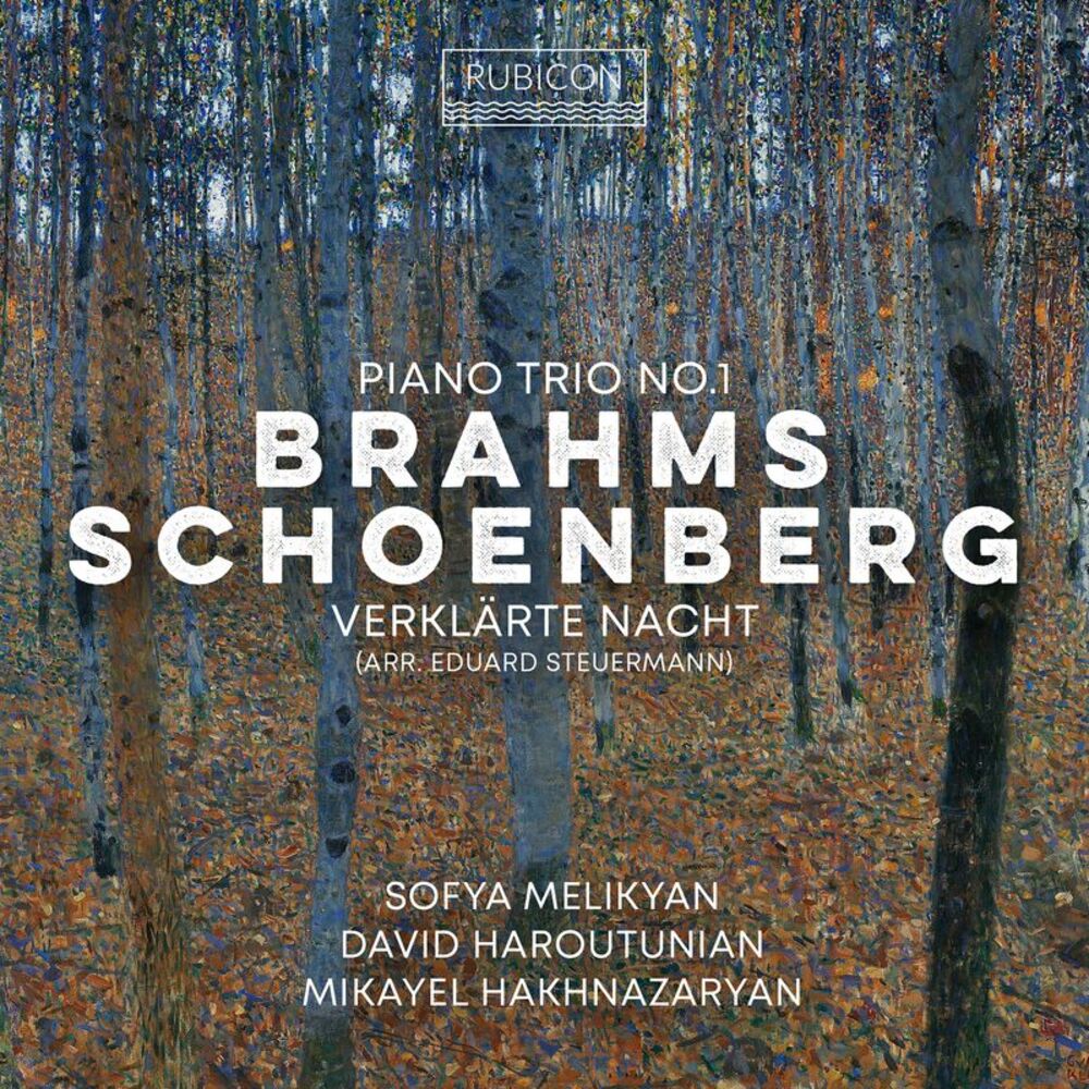 Sofia Melikyan - Brahms: Piano Trio No.1; Schoenberg: Verklarte Nacht  COMPACT